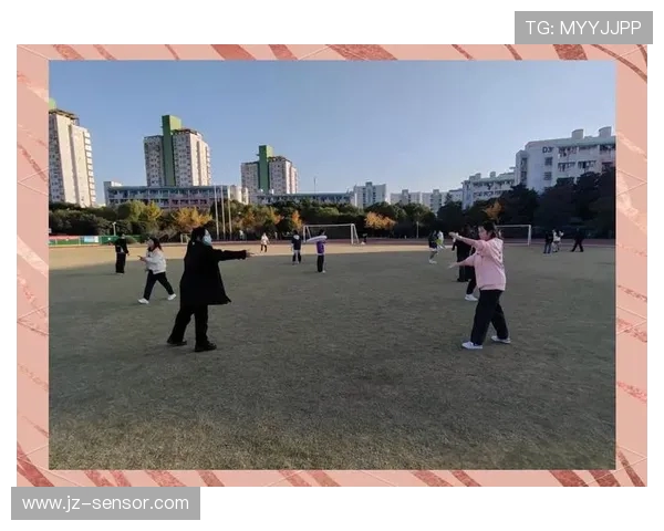 上海飞盘队心理素质分析与表现评估的深度研究与探讨