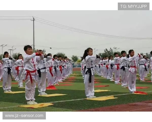 成都羽毛球队成长之路：从青涩梦想到辉煌成就的纪实故事