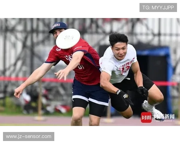 飞盘之路：杭州飞盘队拼搏精神与成长历程的真实记录